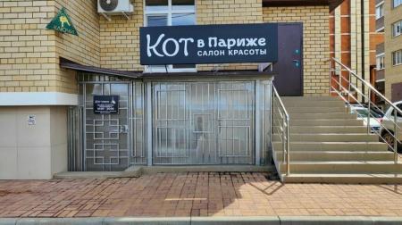 Фотография Кот в Париже 2