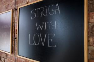 Фотография STRIGA 5