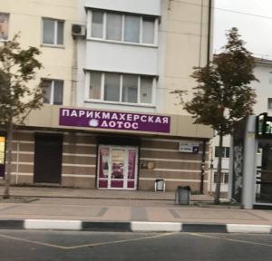 Фотография Лотос 5