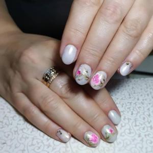 Фотография ЕвроЛюкс 3