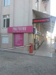 Фотография PINK PANTER 0