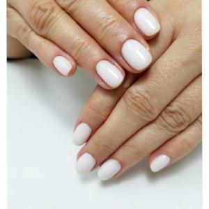 Фотография Восторг 1