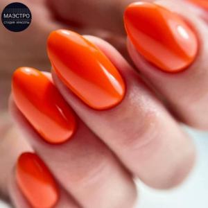 Фотография Маэстро 4