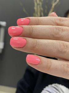 Фотография Gala 5