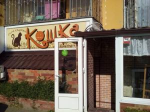 Фотография Кошка 4