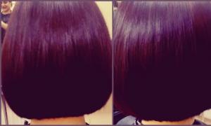 Фотография Лилия 5