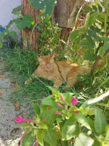 Фотография Шарм Эль Шик 1