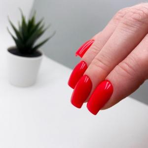 Фотография Beauty Pipe studio 5