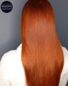 Фотография Маэстро 3