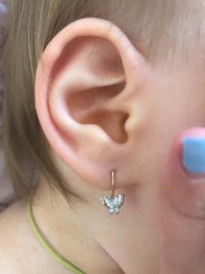 Фотография Barocco 0