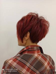 Фотография TM Studio 3