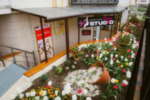 Фотография Region Studio 2