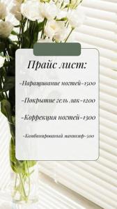 Фотография Camellia 0
