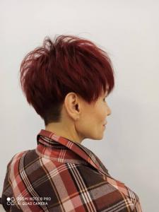 Фотография TM Studio 1