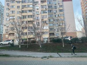 Фотография IQ 0