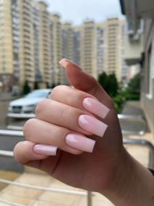 Фотография Iris 0