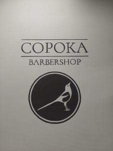 Фотография Сорока 5