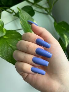 Фотография Пудра 2