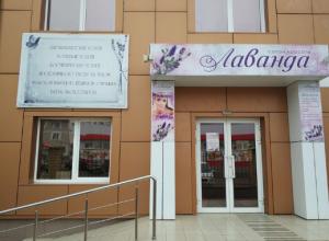 Фотография Лаванда 2