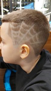 Фотография Лаванда 3