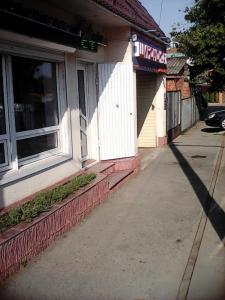 Фотография Оливия 1