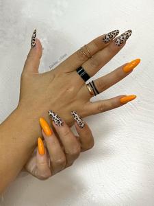 Фотография Цитрус 0