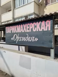 Фотография Орхидея 4