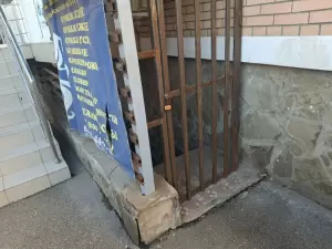 Фотография Девчата 0