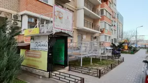 Фотография Кокетка 1