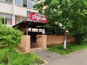 Фотография Адель 0