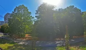 Фотография Парикмахерская 0