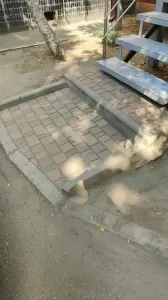 Фотография Цирюльникъ 2