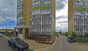Фотография Мята 1