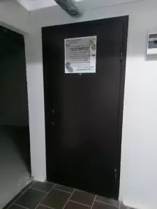 Фотография Изумруд 0