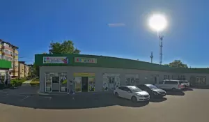 Фотография Виола 1