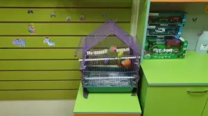Фотография Кеша хороший! 0