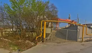 Фотография Авокадо 0