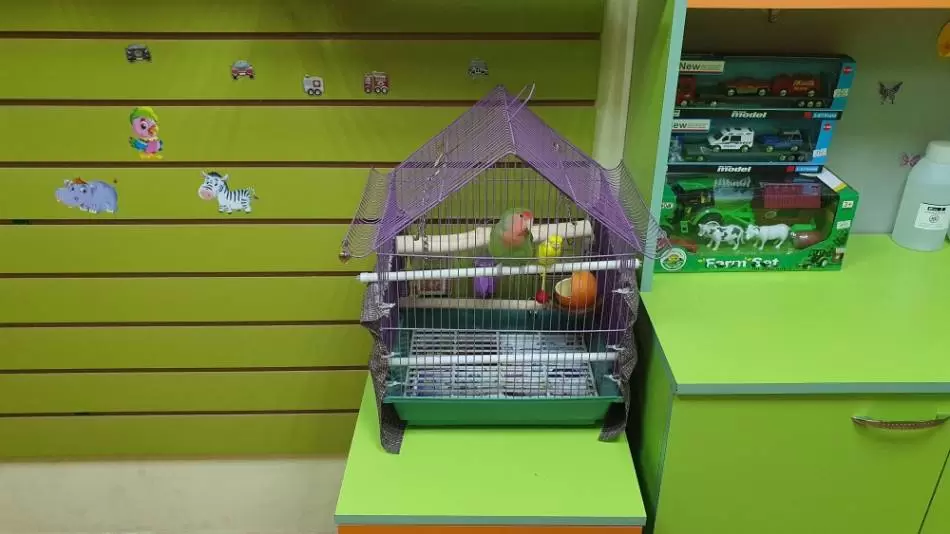 слайд